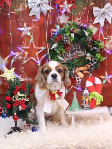 20231206ゲンキくん